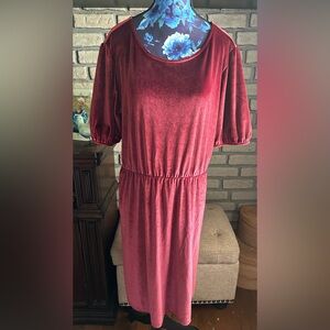 Girls size 16 velvet dress